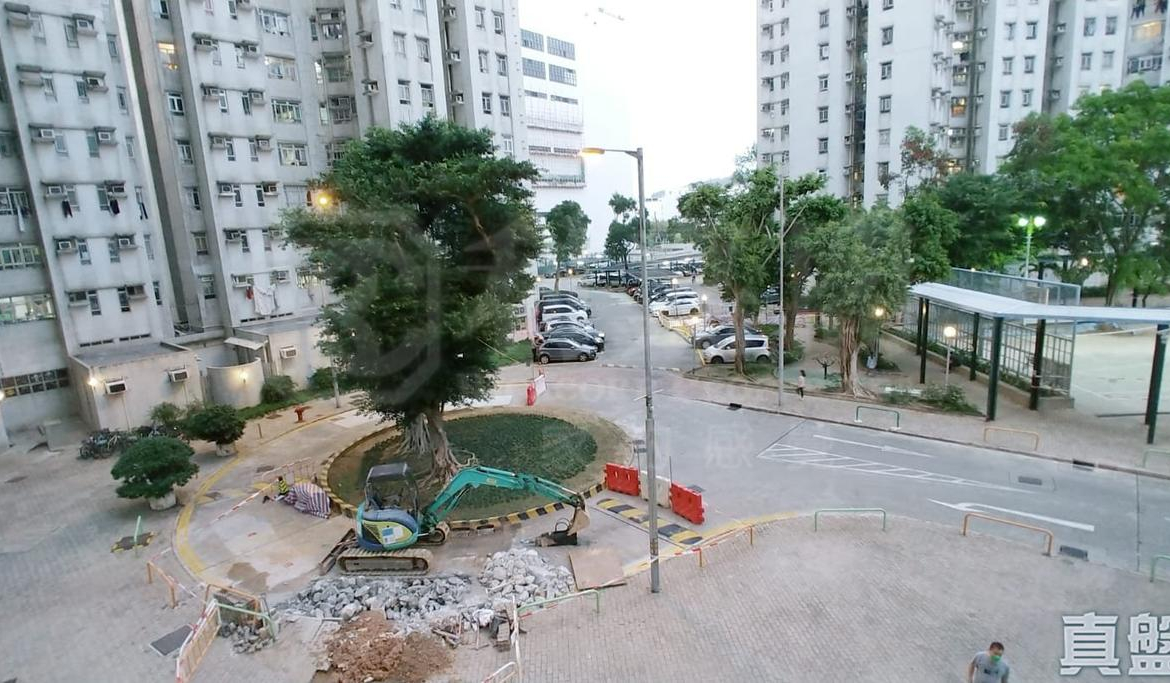 翠麗花園 6座 - 28NTS – 香港北部都會區