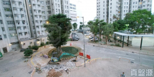 翠麗花園 6座 - 28NTS – 香港北部都會區
