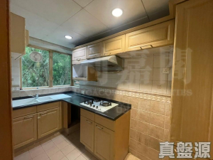 新峰花園 4期 御峰豪園 31座 - 28NTS – 香港北部都會區