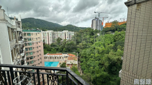 新峰花園 2期 2座 - 28NTS – 香港北部都會區
