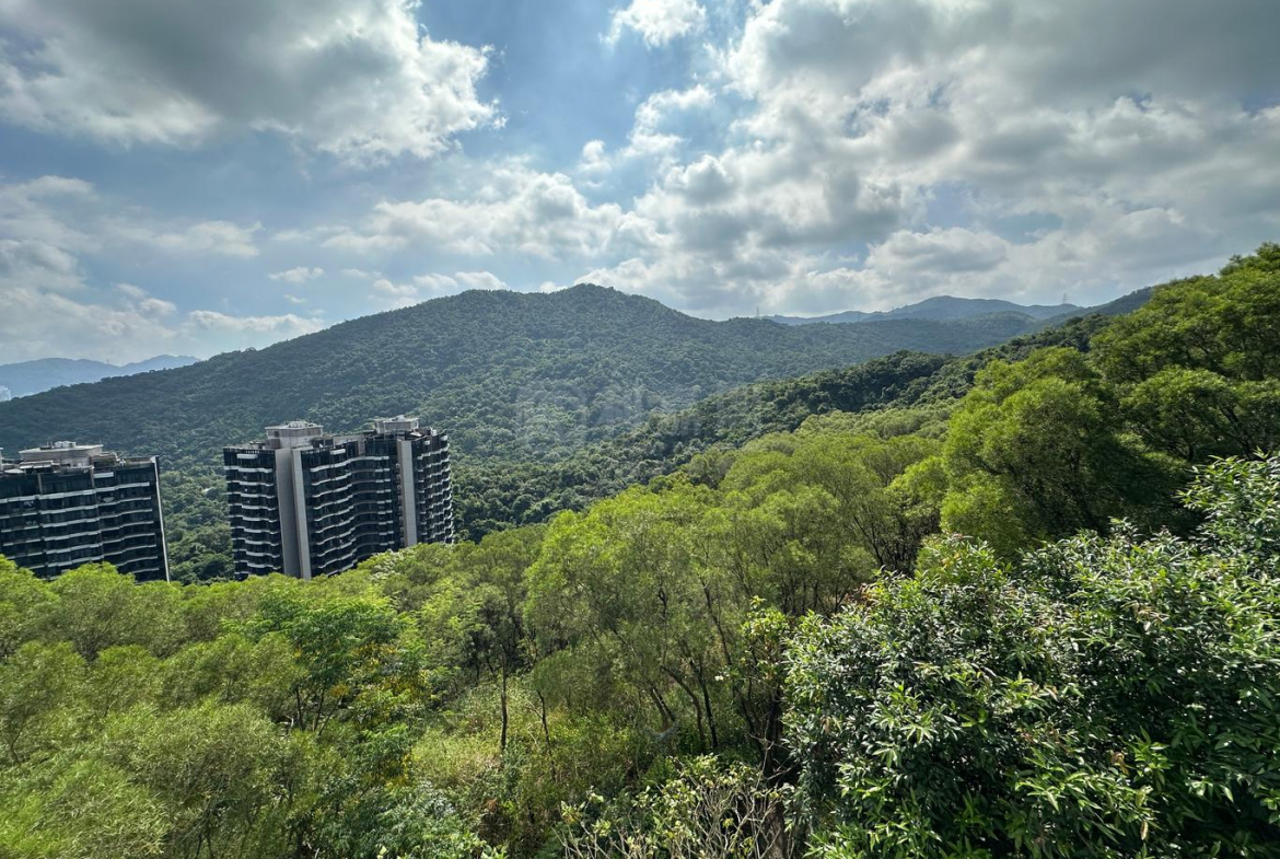 澐瀚 1座 - 28NTS – 香港北部都會區