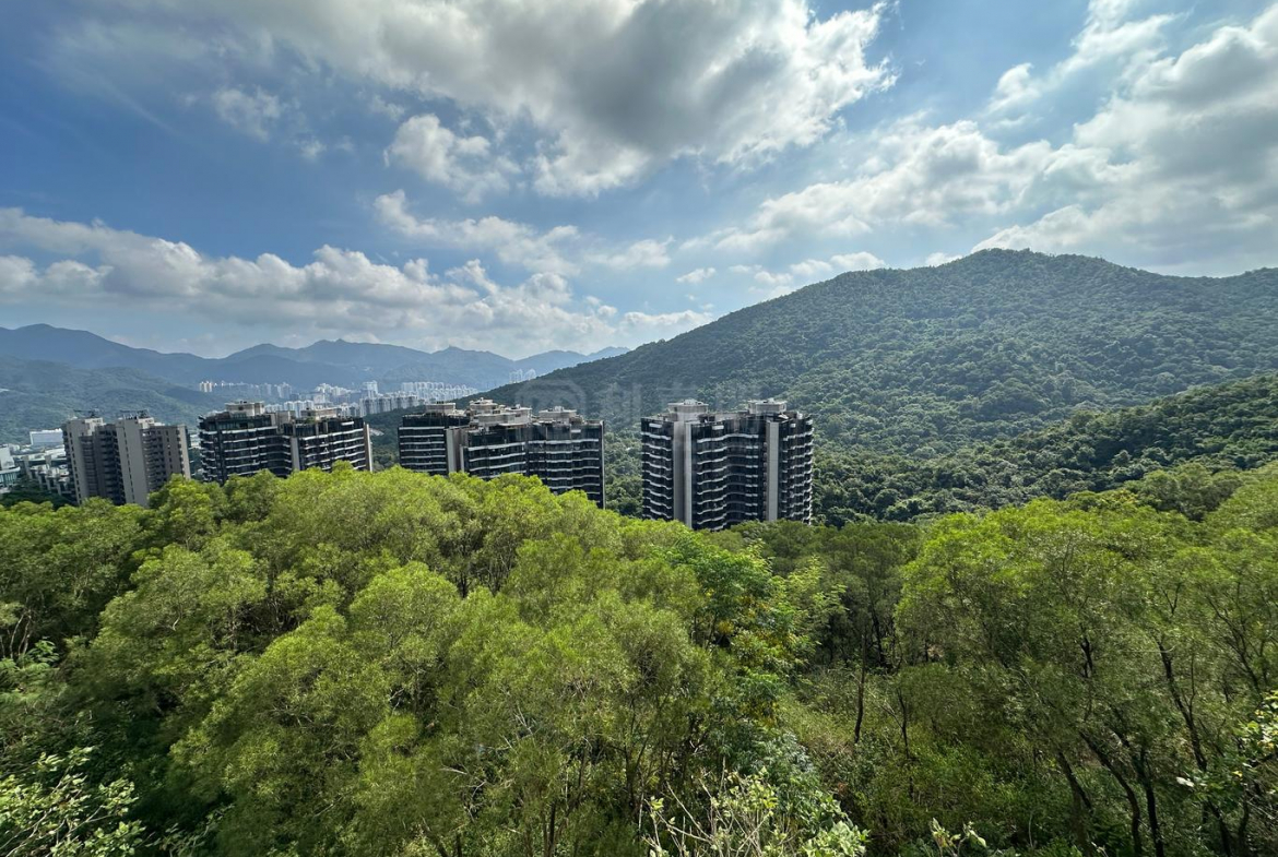 澐瀚 1座 - 28NTS – 香港北部都會區
