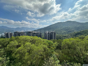 澐瀚 1座 - 28NTS – 香港北部都會區