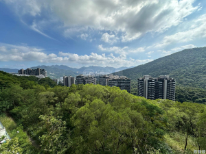 澐瀚 1座 - 28NTS – 香港北部都會區