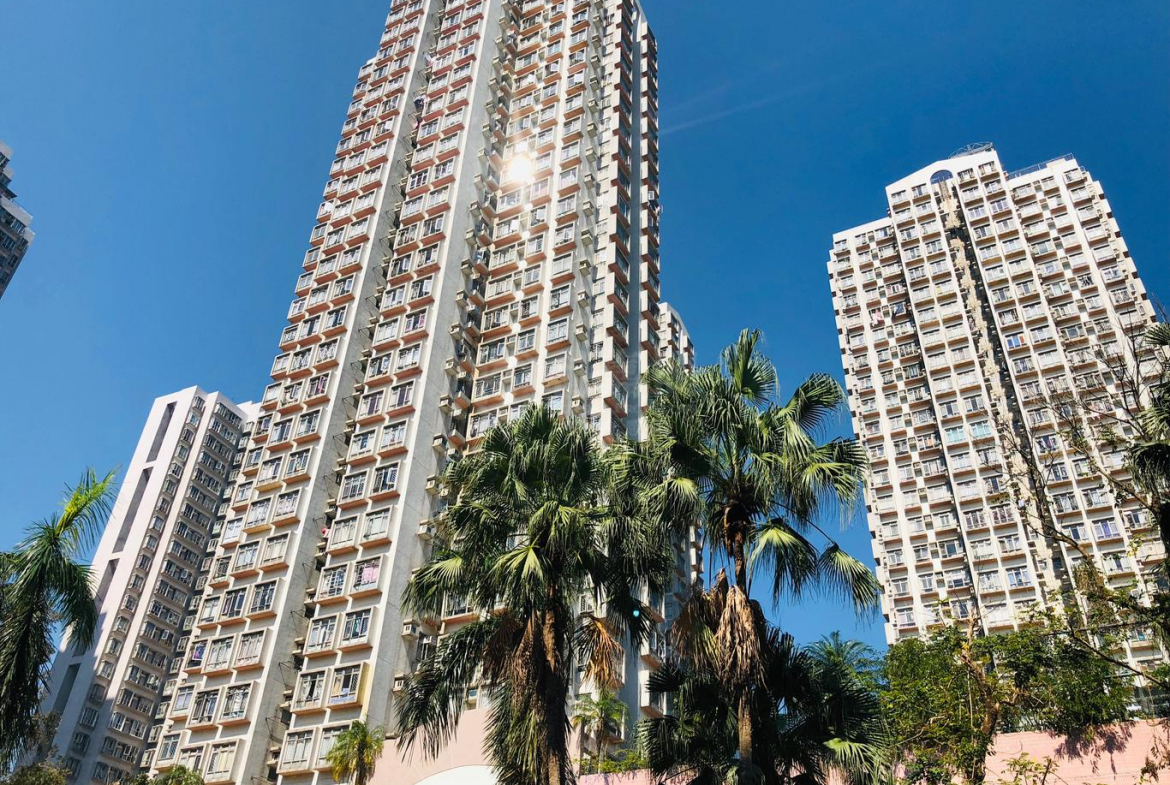 龍豐花園 A座 - 28NTS – 香港北部都會區