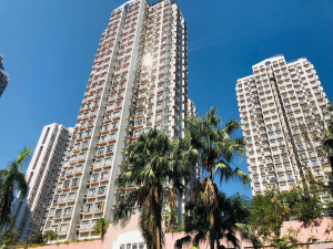 龍豐花園 A座 - 28NTS – 香港北部都會區