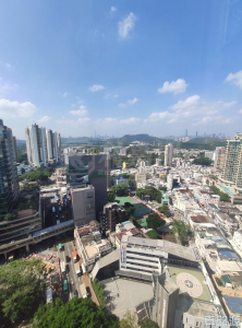 龍豐花園 A座 - 28NTS – 香港北部都會區