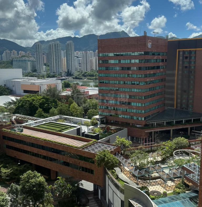 偉華中心 1座 - 28NTS – 香港北部都會區