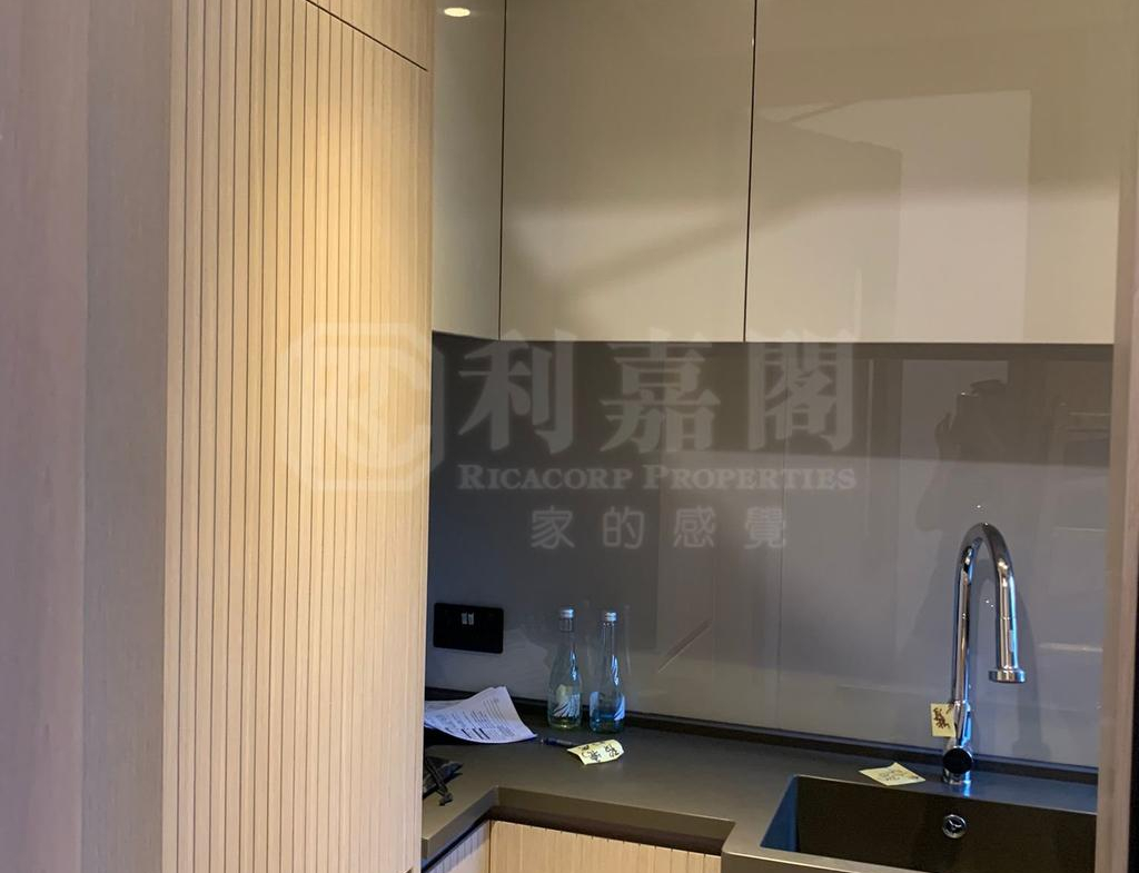 柏傲莊 2期 5座 (5A) - 28NTS – 香港北部都會區
