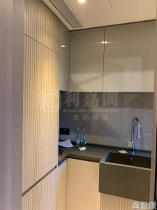柏傲莊 2期 5座 (5A) - 28NTS – 香港北部都會區
