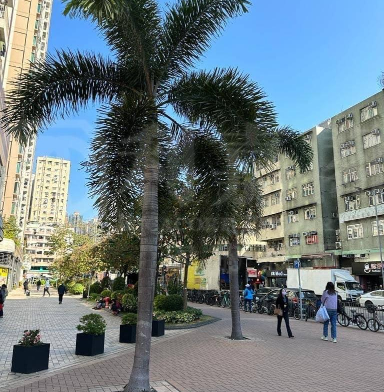 世宙 3座 - 28NTS – 香港北部都會區