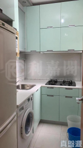 藍天海岸 1期 5座 - 28NTS – 香港北部都會區
