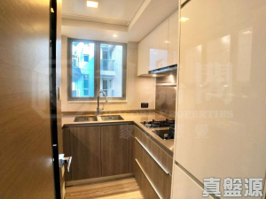 峻巒 2B期 PARK YOHO NAPOLI 20座 - 28NTS – 香港北部都會區