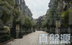 溱林 9座 - 28NTS – 香港北部都會區