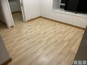 好順景大廈 1座 (A座) - 28NTS – 香港北部都會區