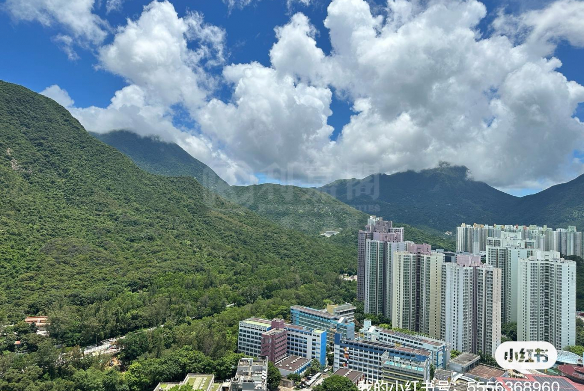 藍天海岸 3期 影岸‧紅 A座 (7座) - 28NTS – 香港北部都會區