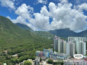藍天海岸 3期 影岸‧紅 A座 (7座) - 28NTS – 香港北部都會區