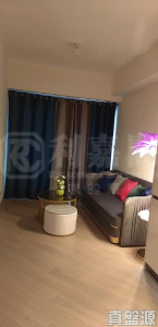 柏瓏 1A期 柏瓏 I 6座 - 28NTS – 香港北部都會區