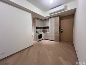 柏瓏 1A期 柏瓏 I 2座 - 28NTS – 香港北部都會區