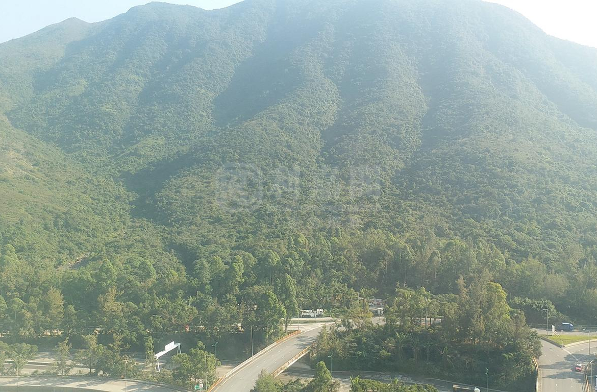 藍天海岸 1期 1座 - 28NTS – 香港北部都會區