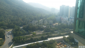 藍天海岸 1期 1座 - 28NTS – 香港北部都會區
