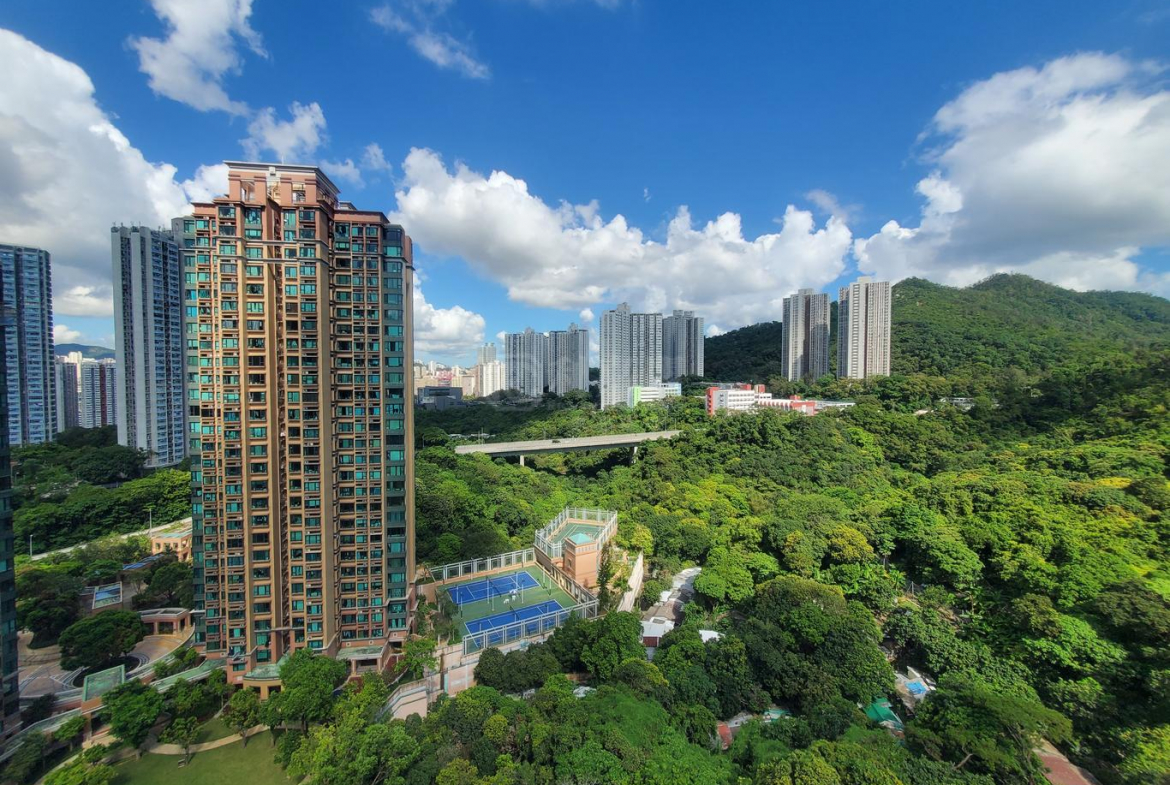 曉峰園 6座 - 28NTS – 香港北部都會區
