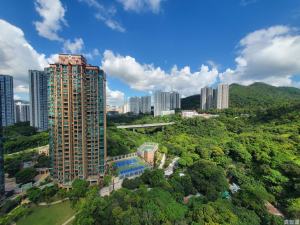 曉峰園 6座 - 28NTS – 香港北部都會區