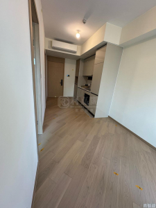 柏瓏 1A期 柏瓏 I 6座 - 28NTS – 香港北部都會區