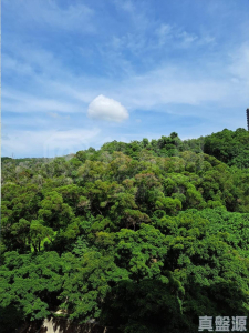 彩暉花園 A座 - 28NTS – 香港北部都會區