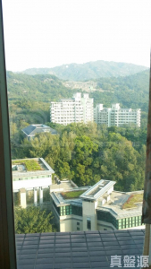 疊茵庭 2座 - 28NTS – 香港北部都會區