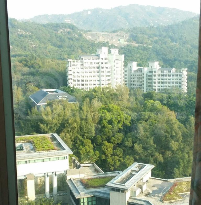 疊茵庭 2座 - 28NTS – 香港北部都會區