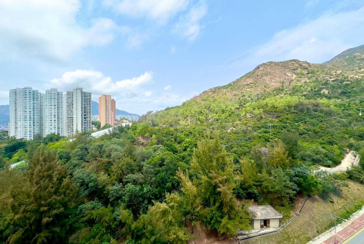 滿名山 滿庭 2座 - 28NTS – 香港北部都會區