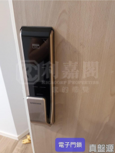 THE CARMEL 1座 - 28NTS – 香港北部都會區