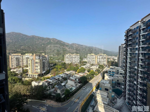 緹岸 1期 1A座 - 28NTS – 香港北部都會區