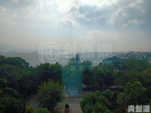 瑜翠園 1座 - 28NTS – 香港北部都會區