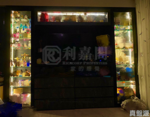 柏傲灣 2B座 - 28NTS – 香港北部都會區