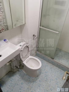 兆康苑 兆暉閣 (O座) - 28NTS – 香港北部都會區
