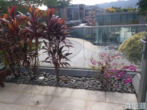 逸林首府 - 28NTS – 香港北部都會區