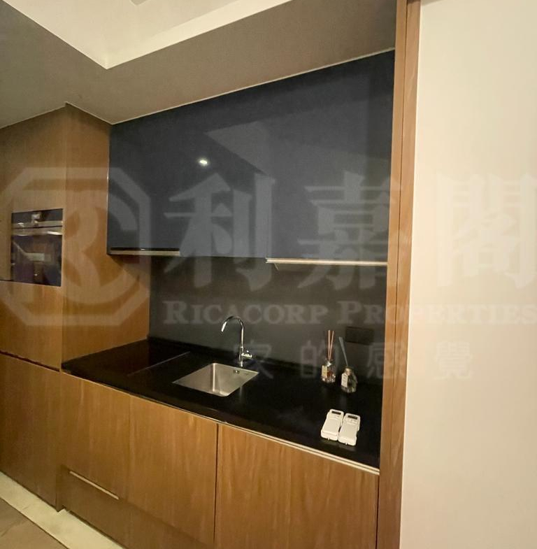 柏傲灣 1B座 - 28NTS – 香港北部都會區
