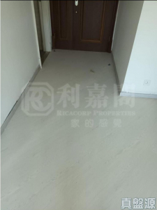 朗逸峰 2期 12座 - 28NTS – 香港北部都會區