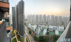 YOHO WEST 1期 2B座 - 28NTS – 香港北部都會區