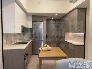 NOVO LAND 2A期 Arreso 3座 - 28NTS – 香港北部都會區