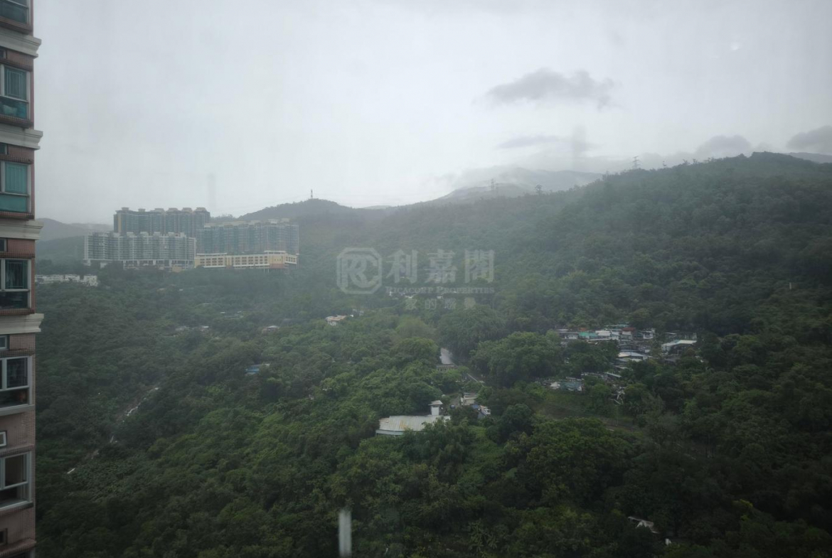 愉景新城 2期 8座 - 28NTS – 香港北部都會區