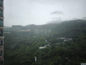 愉景新城 2期 8座 - 28NTS – 香港北部都會區
