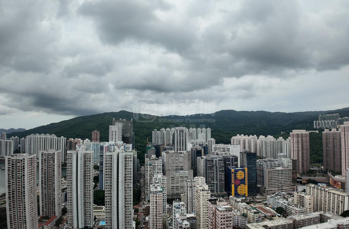 萬景峯 2座 - 28NTS – 香港北部都會區