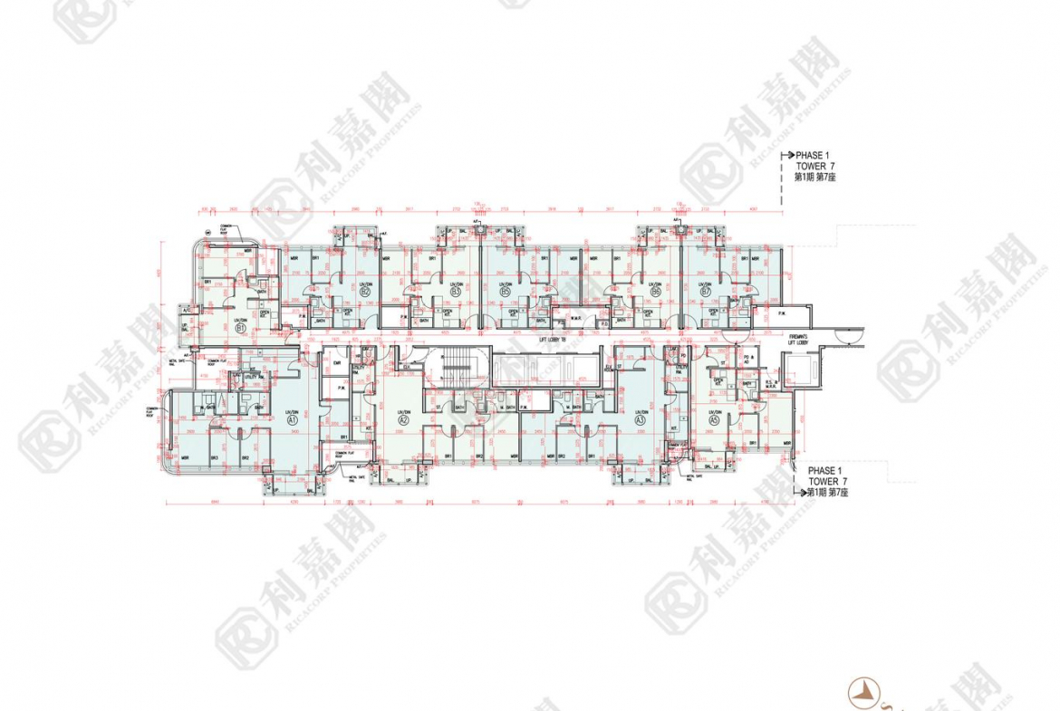 柏瓏 1B期 柏瓏 II 8座 - 28NTS – 香港北部都會區