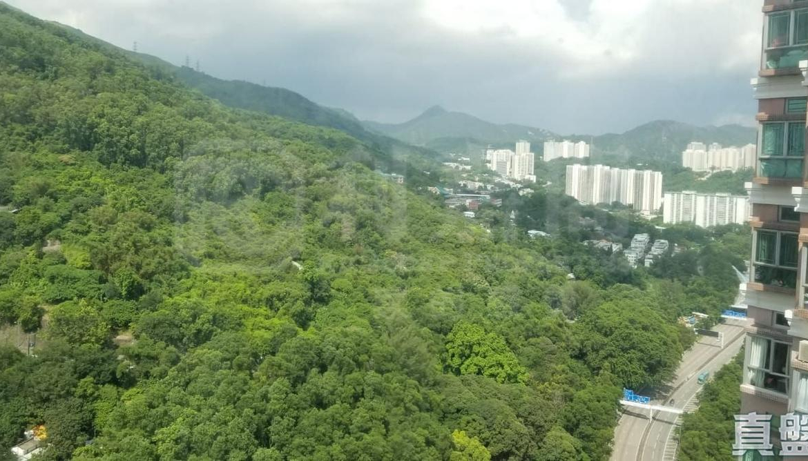 愉景新城 2期 6座 - 28NTS – 香港北部都會區