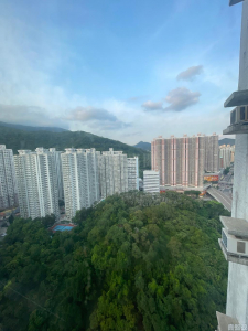 錦豐園 2座 - 28NTS – 香港北部都會區