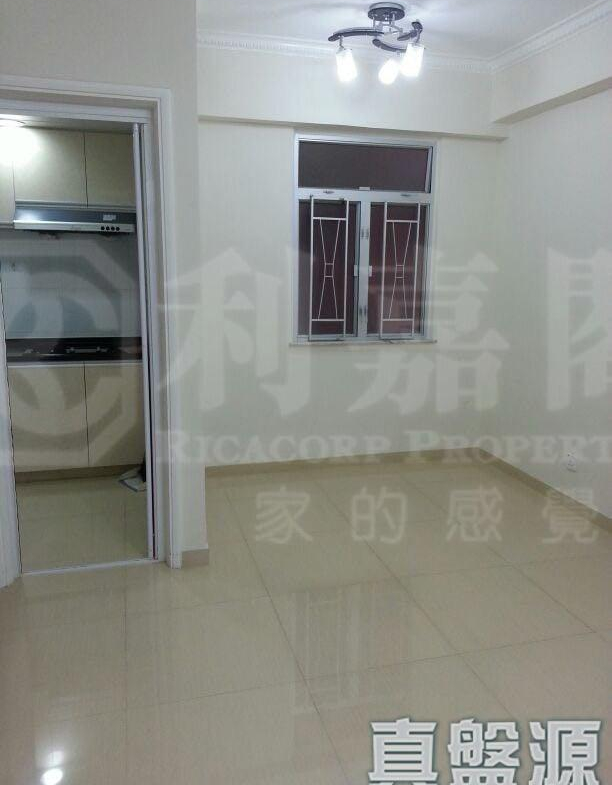 葵星中心 B座 - 28NTS – 香港北部都會區