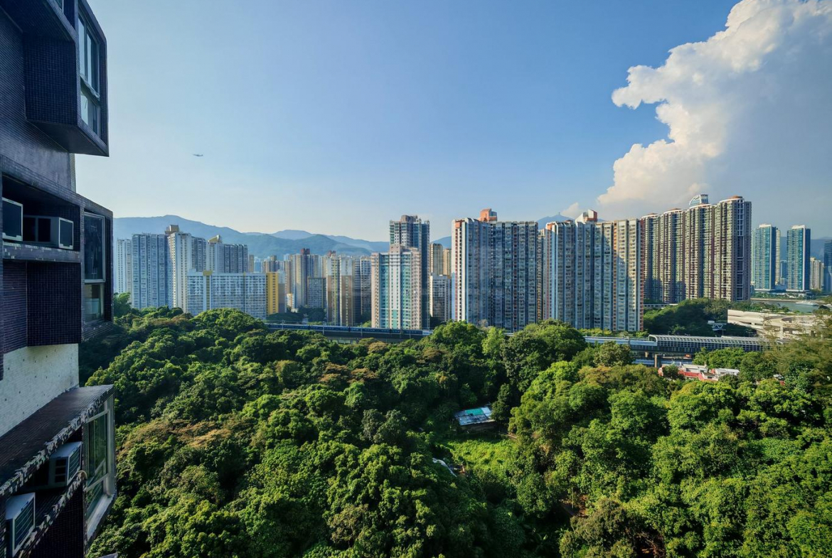 偉景花園 4座 - 28NTS – 香港北部都會區